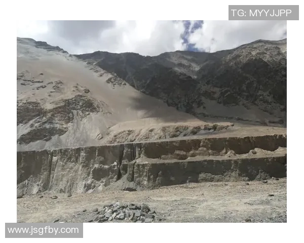 深度探讨杨强在CSGO中的成长与挑战之路